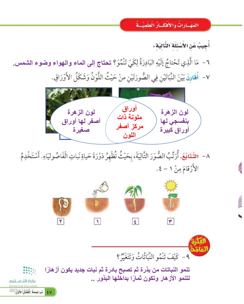 المهارات والافكار العلمية